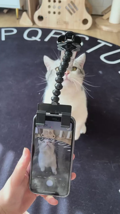 Pet Selfie Clip – Perfekte Tierfotos in 1 Sekunde