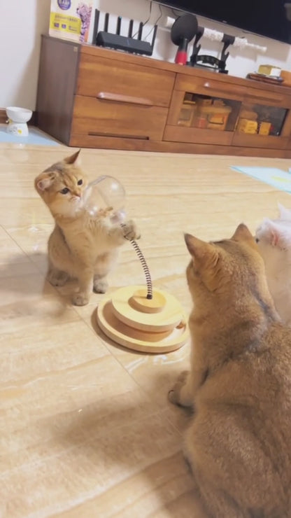 Futterball - Spiel & Leckerli für glückliche Katzen 🐾